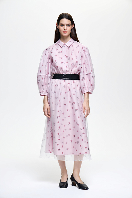 Весенние мечты